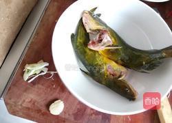 葛鱼汤的做法图解1