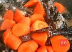 胡萝卜炖乌鸡的做法图解4