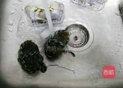 秋季食补※清蒸大闸蟹的做法图解3