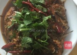 红烧鲫鱼的做法图解6