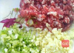 酱香肉末茄子的做法图解2