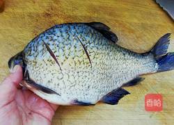 清蒸武昌鱼的做法图解5