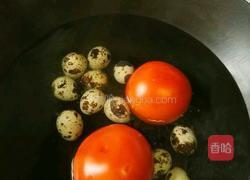 番茄什锦面的做法图解1