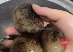 美容养生糖水的做法图解1