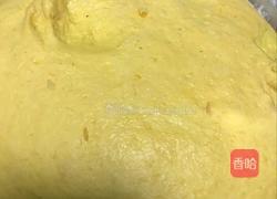 南瓜馒头玫瑰花的做法图解5