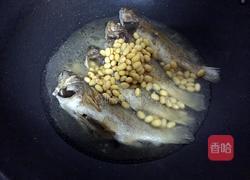 黄豆烧鱼的做法图解6