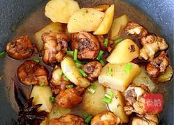 土豆焖鸡腿的做法图解8