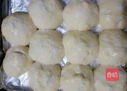 奶香椰蓉小餐包的做法图解6