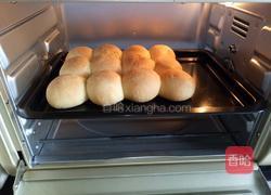 燕麦小面包的做法图解10