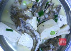 鱼炖豆腐的做法图解7