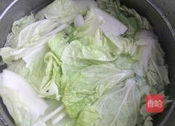 高汤煮白菜的做法图解6