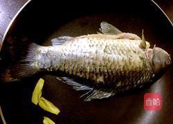 赤小豆粉葛鲫鱼汤的做法图解3