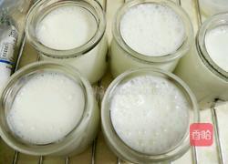 电饭锅自制酸奶的做法图解6