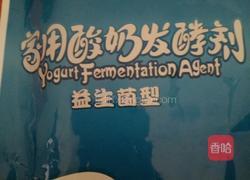 酸奶的做法图解2