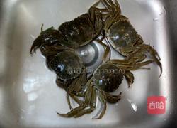 清蒸大闸蟹的做法图解1