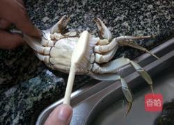 清蒸大闸蟹的做法图解2