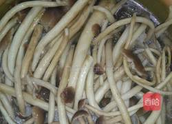 五花肉炖茶树菇的做法图解2