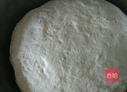 瓠瓜猪肉包子的做法图解1