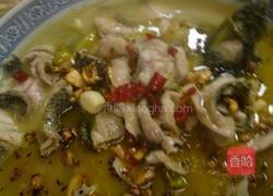 精品酸菜鱼的做法图解14