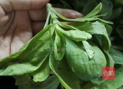 凉拌好菜的做法图解2