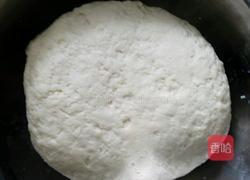 香菇肉馅大馄饨的做法图解4