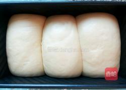 牛奶蔓越莓吐司的做法图解12