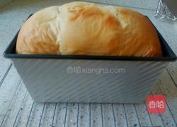 牛奶蔓越莓吐司的做法图解15