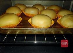 蛋黄酥(花生油版)的做法图解24