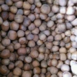 速烤榛子的做法[图]