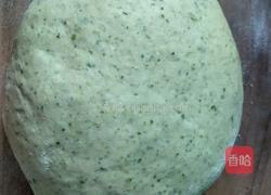 芹菜汁发面饼的做法图解4