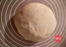 纯瘦肉韭菜水饺的做法图解6