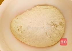 葱花大油饼(烫面)的做法图解1