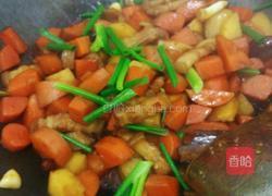 土豆胡萝卜烧肉的做法图解16