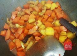 土豆胡萝卜烧肉的做法图解15