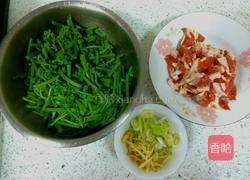 炒蕨菜的做法图解1
