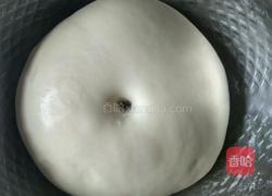 椰蓉毛毛虫面包的做法图解7