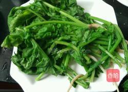 素炒萝卜苗的做法图解2