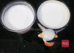 火龙果双皮奶的做法图解3