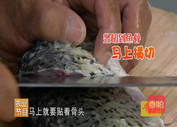 CCTV7食尚大转盘《银丝黄河鲤》的做法图解3