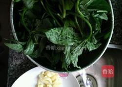 清炒红薯叶的做法图解2