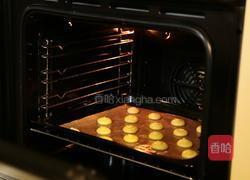 泡芙的做法图解7