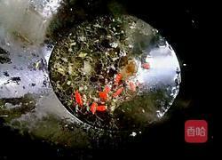 蒸鱼糕的做法图解7