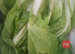 蚝油白菜的做法图解1