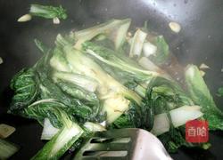 蚝油白菜的做法图解8
