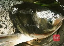 花鲢鱼头豆腐汤的做法图解1