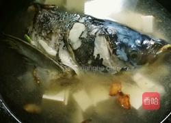 花鲢鱼头豆腐汤的做法图解11