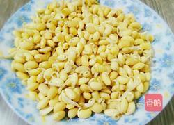 炒黄豆芽的做法图解1