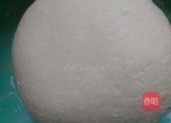 纯手工饺子的做法图解7