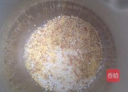 荞麦小米糊的做法图解1