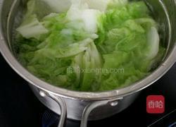 蕃茄煮白菜的做法图解4